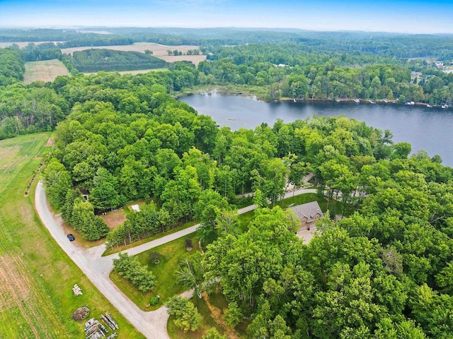 N5730 Parkway Rd, Pound, WI 54161 - aerial view of property and surrounding area with a nearby body of water and a forest