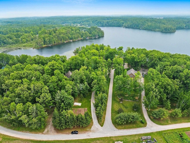 N5730 Parkway Rd, Pound, WI 54161 - aerial view of a nearby body of water and a heavily wooded area