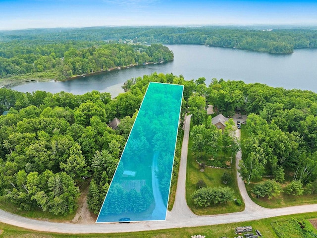 N5730 Parkway Rd, Pound, WI 54161 - aerial overview of property's location with property parcel outlined and a large body of water