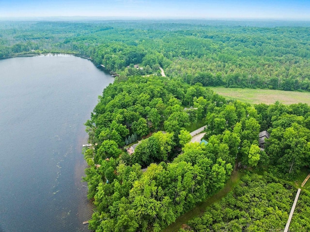 N5730 Parkway Rd, Pound, WI 54161 - drone / aerial view of a forest and a large body of water