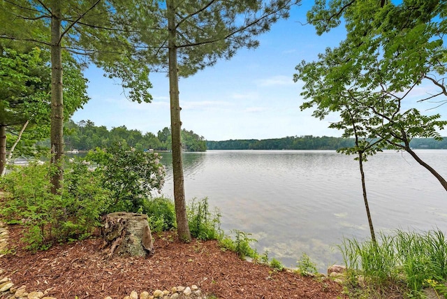 N5730 Parkway Rd, Pound, WI 54161 - water view featuring a heavily wooded area