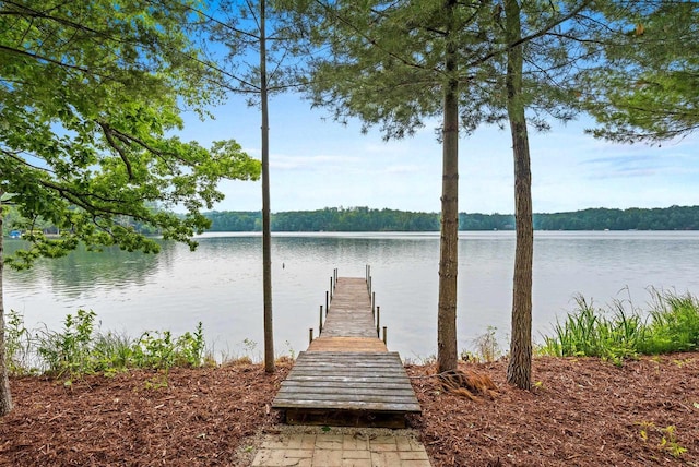 N5730 Parkway Rd, Pound, WI 54161 - dock area with a water view