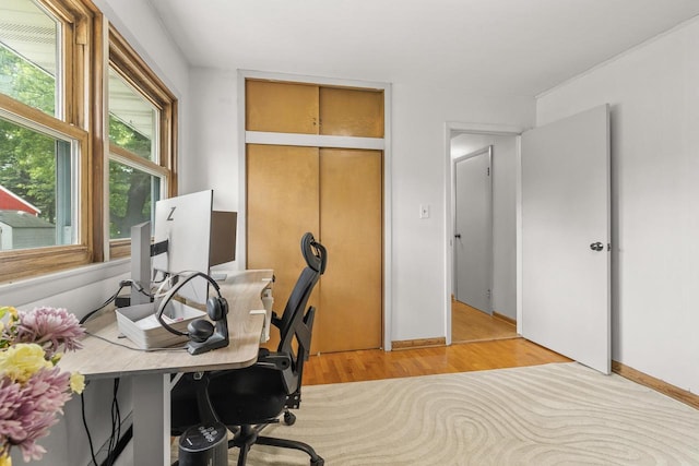 551 Market Ave, Port Edwards, WI 54469 - office area featuring light wood-style flooring and baseboards