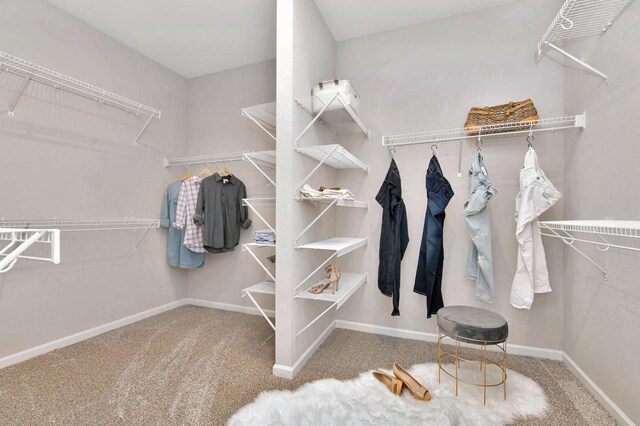 W356N6752 E Stonewood Dr, Oconomowoc, WI 53066 - walk in closet featuring carpet floors