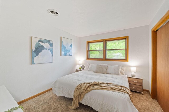 4326 Taylor Ave, Mount Pleasant, WI 53405 - bedroom featuring light carpet and a closet