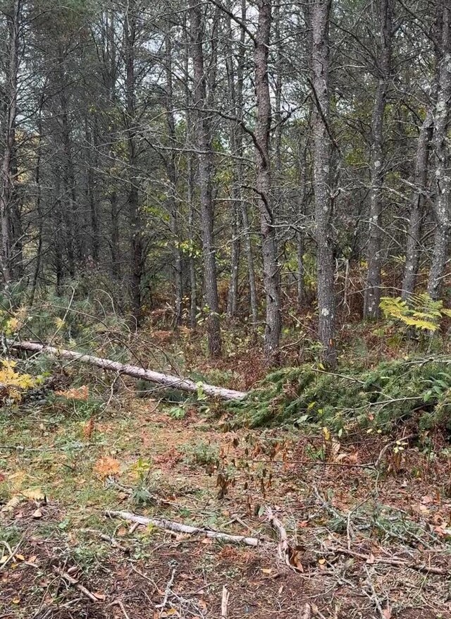 15 Wood Rd, Tomahawk, WI 54487