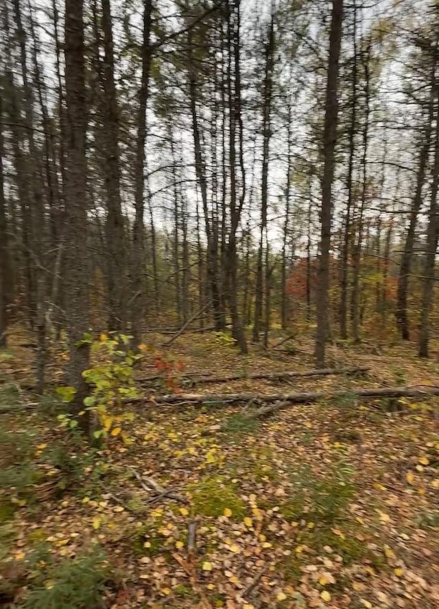 15 Wood Rd, Tomahawk, WI 54487