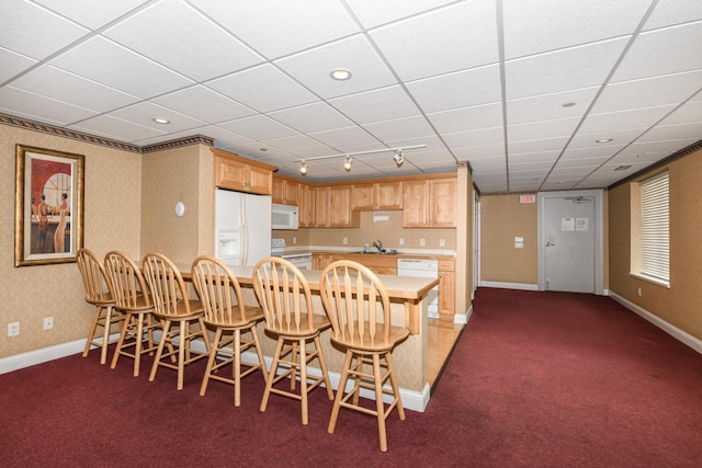 1515 N Van Buren St Unit 414, Milwaukee, WI 53202 - dining room with rail lighting, dark colored carpet, and a drop ceiling