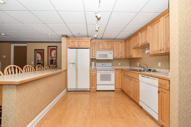 1515 N Van Buren St Unit 414, Milwaukee, WI 53202 - kitchen featuring white appliances, track lighting, light brown cabinetry, light wood-style flooring, and wallpapered walls