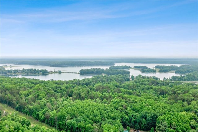 3709 Half Moon Cir, Danbury, WI 54830 - drone / aerial view of a large body of water and a forest