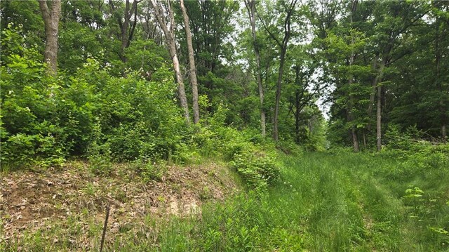 10559 20th St, Colfax, WI 54703