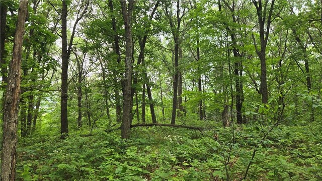 10559 20th St, Colfax, WI 54703
