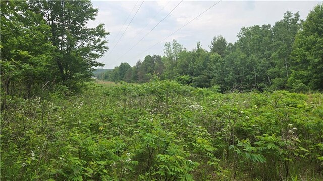 10559 20th St, Colfax, WI 54703