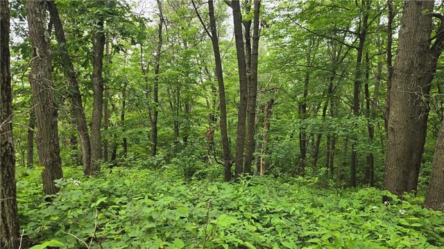 10559 20th St, Colfax, WI 54703