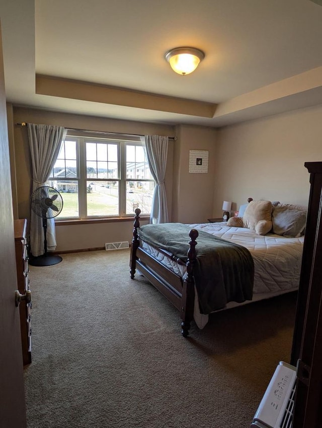 207 Sugar Maple Ln, Verona, WI 53593 - carpeted bedroom featuring a tray ceiling