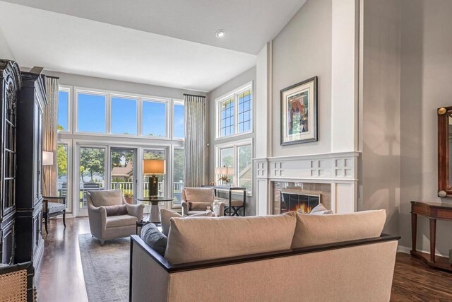 1223 Milwaukee St Unit B, Delafield, WI 53018 - living area with a glass covered fireplace, dark wood-type flooring, recessed lighting, and a high ceiling