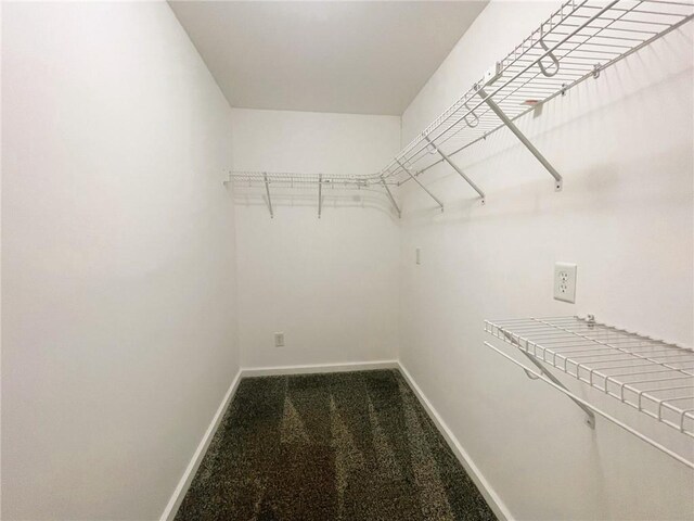 628 W Cedar St, Chippewa Falls, WI 54729 - spacious closet with carpet flooring