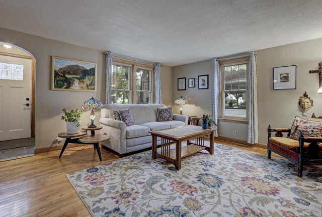 318 N Outagamie St, Appleton, WI 54914 - living room with light wood-type flooring and a textured ceiling