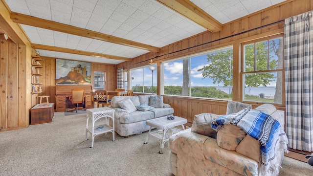 N133 Surfside Dr, Cedar Grove, WI 53013 - carpeted living room with wooden walls and beamed ceiling