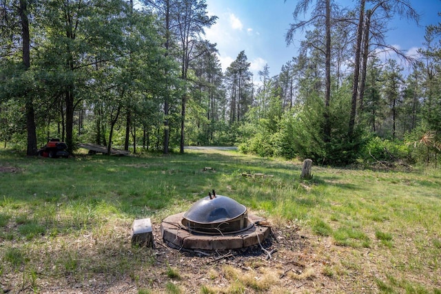 N8244 Woodland Trl, New Lisbon, WI 53950 - view of yard featuring an outdoor fire pit