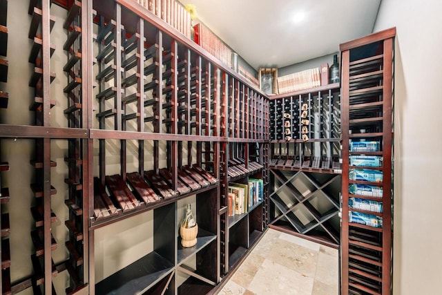 W301S1487 Brandybrook Rd, Waukesha, WI 53188 - wine room featuring stone finish floors