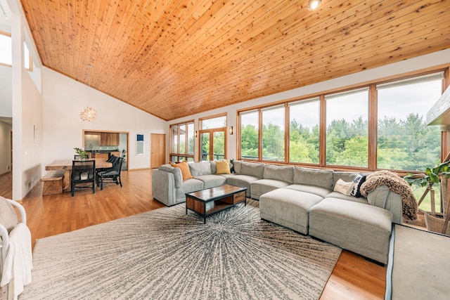 W301S1487 Brandybrook Rd, Waukesha, WI 53188 - living area with high vaulted ceiling, wood finished floors, and wood ceiling