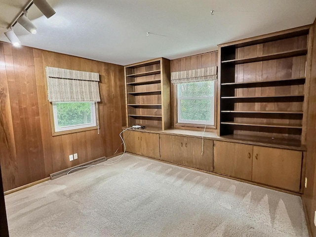 525 Pembrook Ct, Neenah, WI 54956 - empty room with wooden walls, healthy amount of natural light, carpet flooring, and track lighting