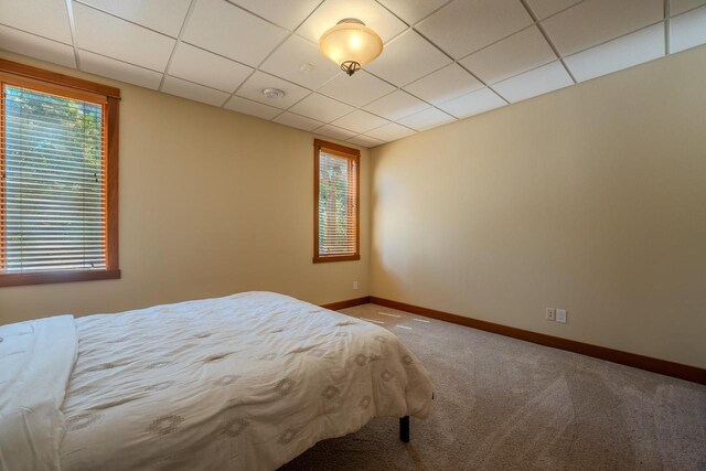 303 Rimrock Rd, Wausau, WI 54401 - carpeted bedroom featuring multiple windows and a paneled ceiling