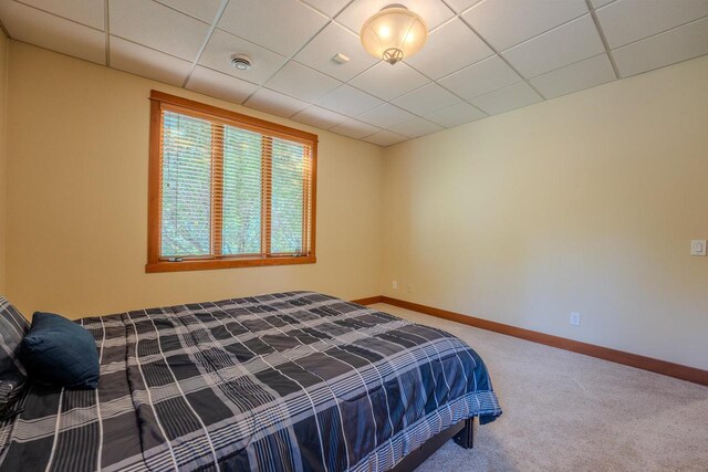 303 Rimrock Rd, Wausau, WI 54401 - bedroom featuring carpet flooring and a drop ceiling