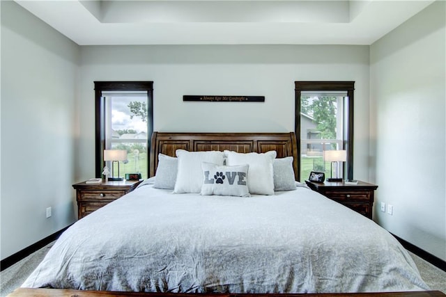2247 105th St, Eau Claire, WI 54703 - bedroom featuring carpet floors and a raised ceiling