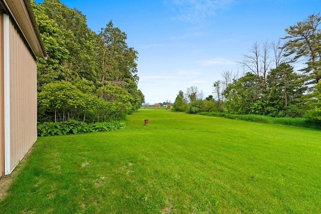 2929 Brunner Rd, Manitowoc, WI 54220 - view of grassy yard