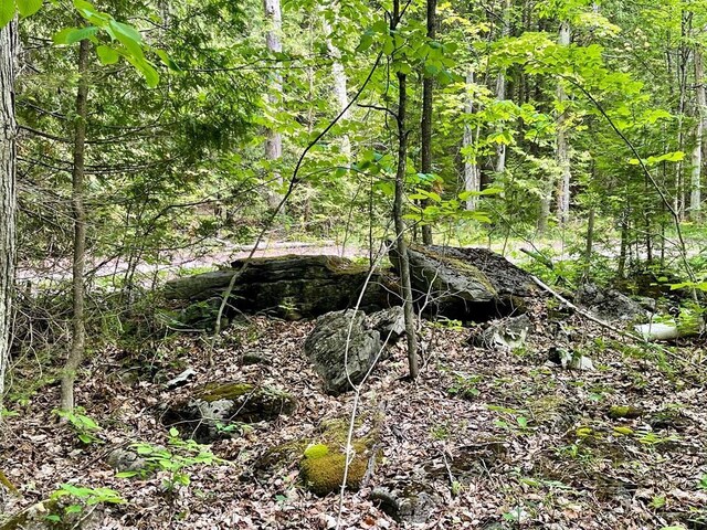County Highway Q, Baileys Harbor, WI 54202