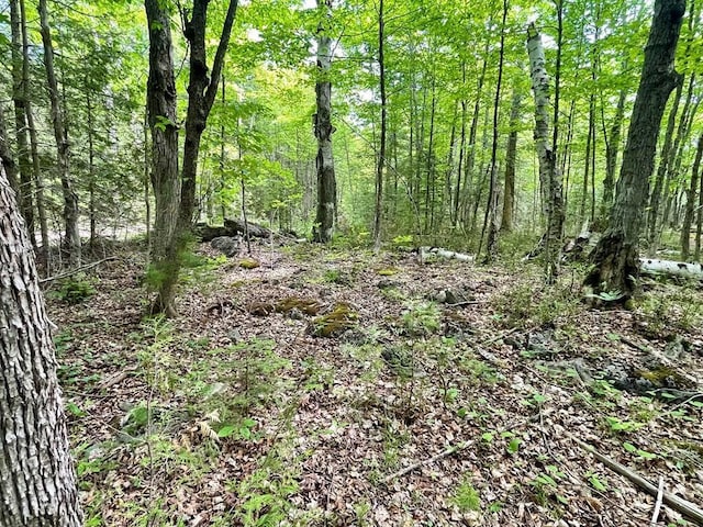 County Highway Q, Baileys Harbor, WI 54202