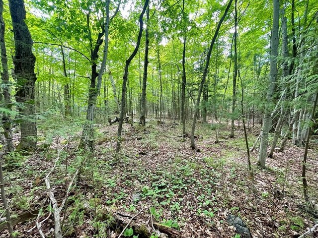County Highway Q, Baileys Harbor, WI 54202