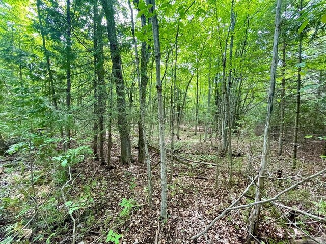 County Highway Q, Baileys Harbor, WI 54202