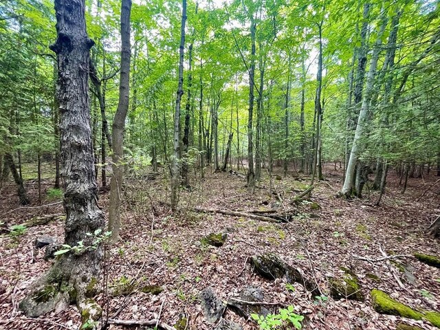 County Highway Q, Baileys Harbor, WI 54202