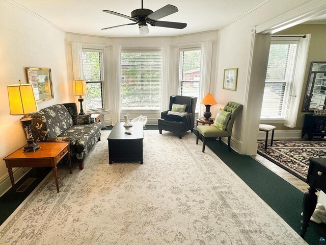 303 E 5th St, Washburn, WI 54891 - living room with healthy amount of natural light, crown molding, a ceiling fan, and carpet