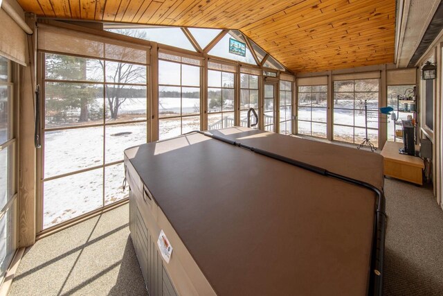 4080 Camp Bryn Afon Rd, Rhinelander, WI 54501 - rec room with vaulted ceiling, carpet flooring, wood ceiling, and plenty of natural light