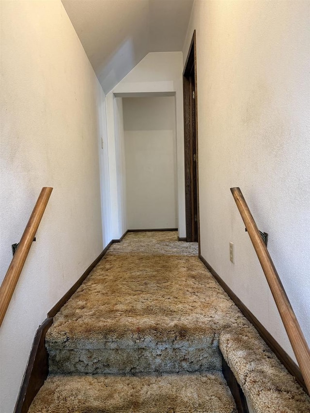404 Prairie St, Mauston, WI 53948 - stairway featuring vaulted ceiling and carpet floors