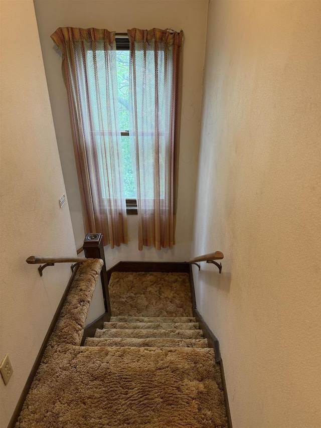 404 Prairie St, Mauston, WI 53948 - stairway with baseboards and carpet flooring