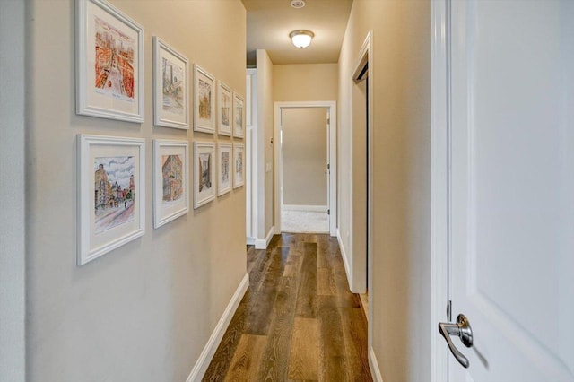 6586 Wolf Hollow Rd, Windsor, WI 53598 - hallway with dark wood-style floors and baseboards