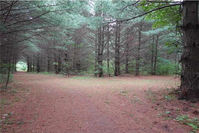 6XX US Highway 8, Amery, WI 54001
