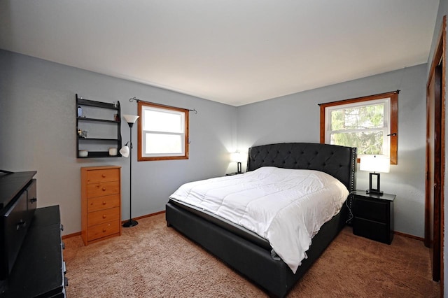 W355N5843 Bridle Ln, Oconomowoc, WI 53066 - carpeted bedroom featuring baseboards