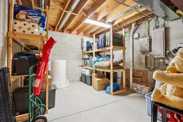 W332S9291 Red Brae Dr, Mukwonago, WI 53149 - storage area featuring electric panel