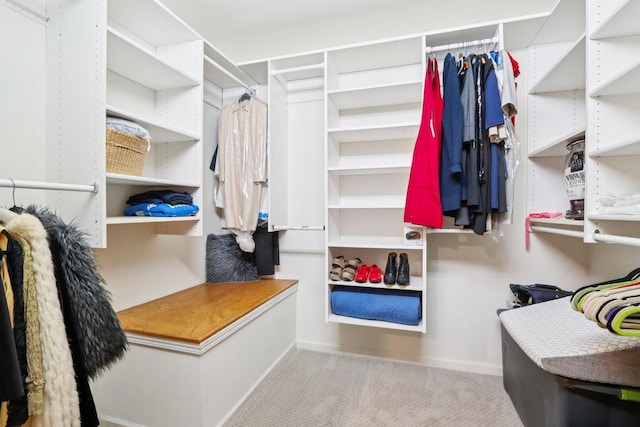 W332S9291 Red Brae Dr, Mukwonago, WI 53149 - walk in closet with carpet