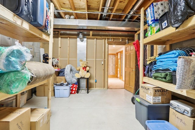 W332S9291 Red Brae Dr, Mukwonago, WI 53149 - view of storage