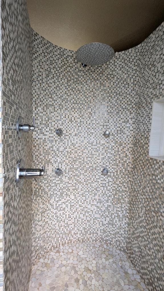N100W17560 Whitetail Run, Germantown, WI 53022 - detailed view of tiled shower