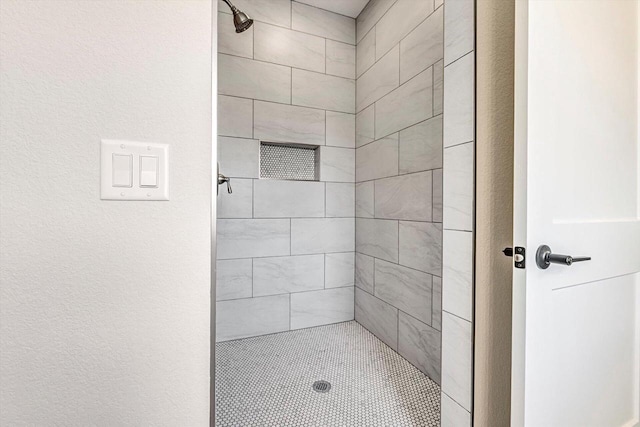 1597 Bluestem Trl, Oconomowoc, WI 53066 - bathroom featuring a tile shower