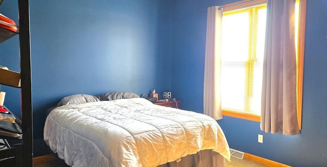 4830 Parkview Rd, Waterford, WI 53185 - bedroom featuring multiple windows and carpet