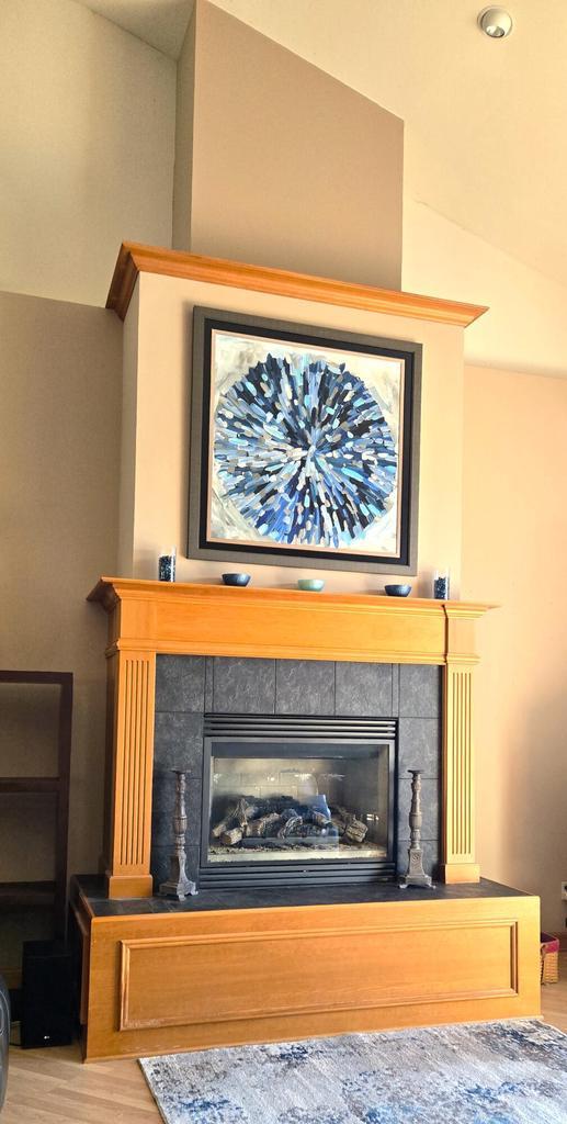 4830 Parkview Rd, Waterford, WI 53185 - detailed view of a tiled fireplace and wood finished floors